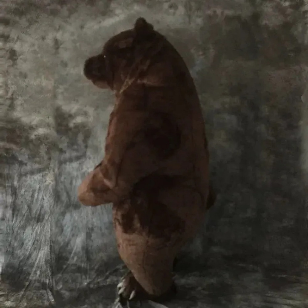 Costume da mascotte a forma di - Halloween Costume Adult recensione e prezzo