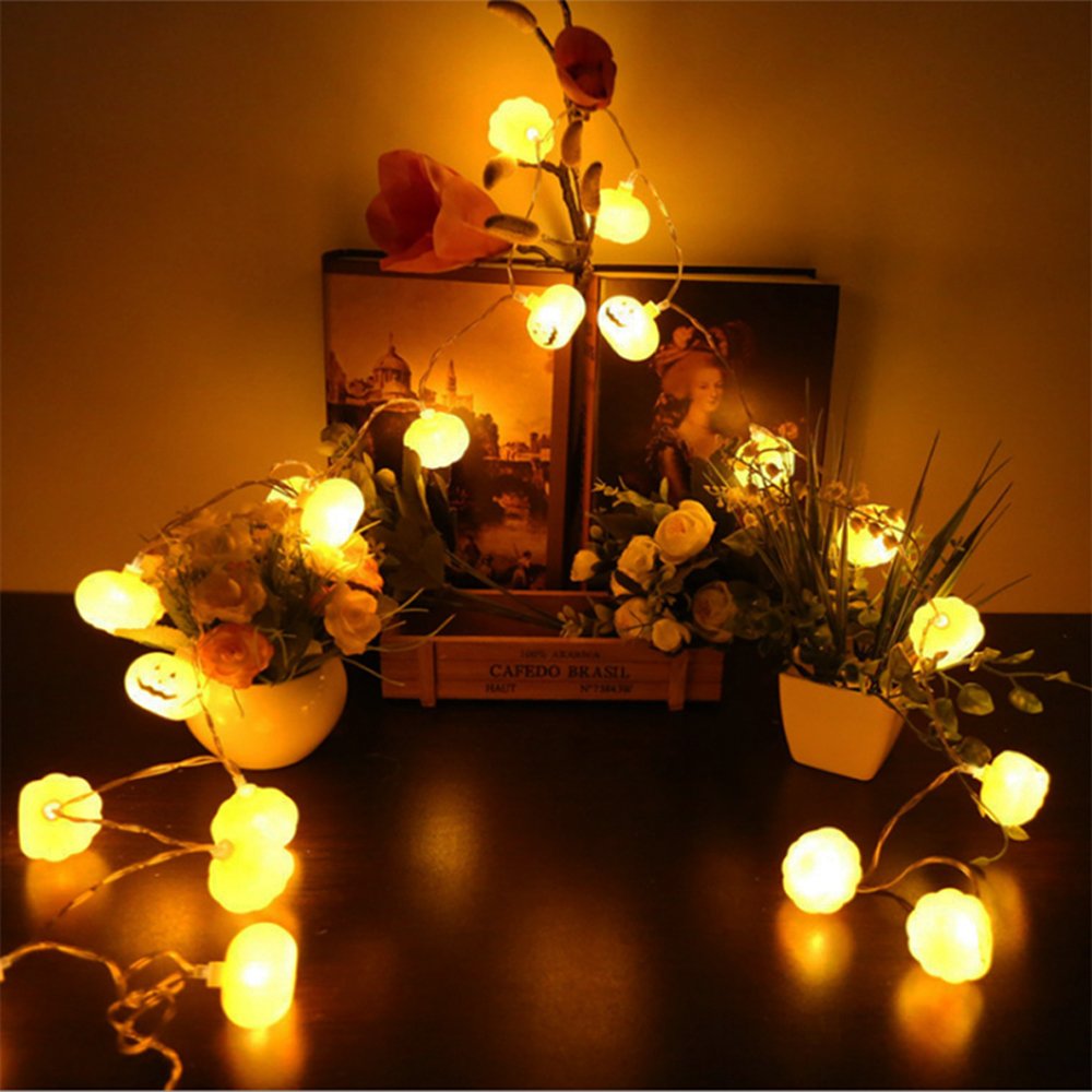 Luci della stringa del LED del - Halloween Led String Lights Orange recensione e prezzo